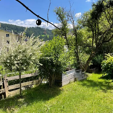 Дом отдыха 11er Haeusl Флахау