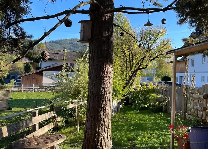 펜션 11er Haeusl *