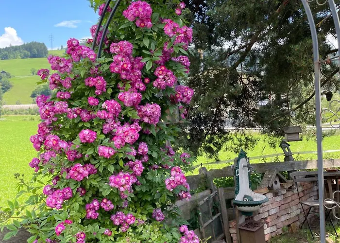 11er Haeusl * 플라차우